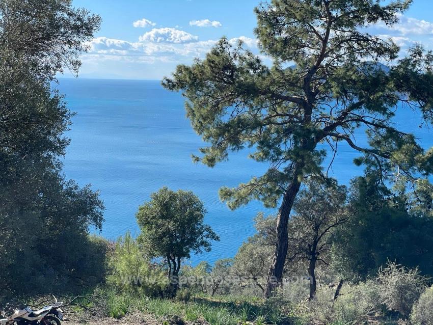 Çandır Full Deniz Manzaralı 20.000M2 Satılık 2B