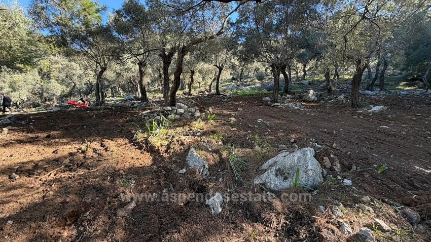 Çandır'da Full Deniz Manzaralı 5715M2 Satılık 2B Tarla