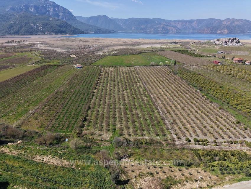 Eskiköy'de Göl Manzaralı 16.710M2 Satılık Nar Bahçesi