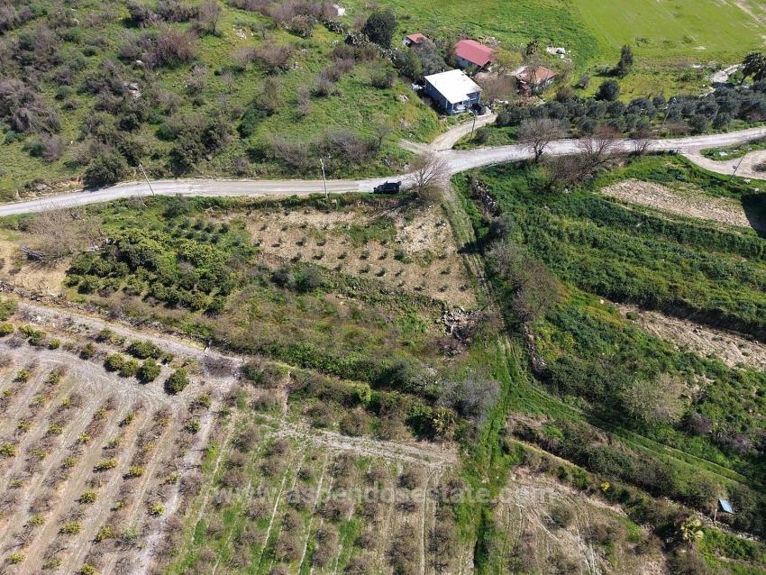 Eskiköy'de Göl Manzaralı 16.710M2 Satılık Nar Bahçesi