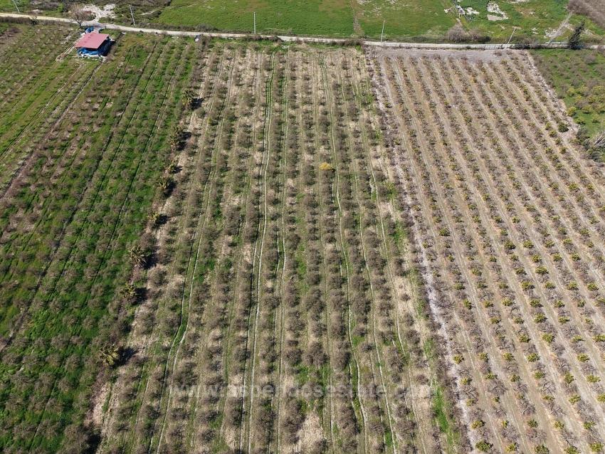 Eskiköy'de Göl Manzaralı 16.710M2 Satılık Nar Bahçesi