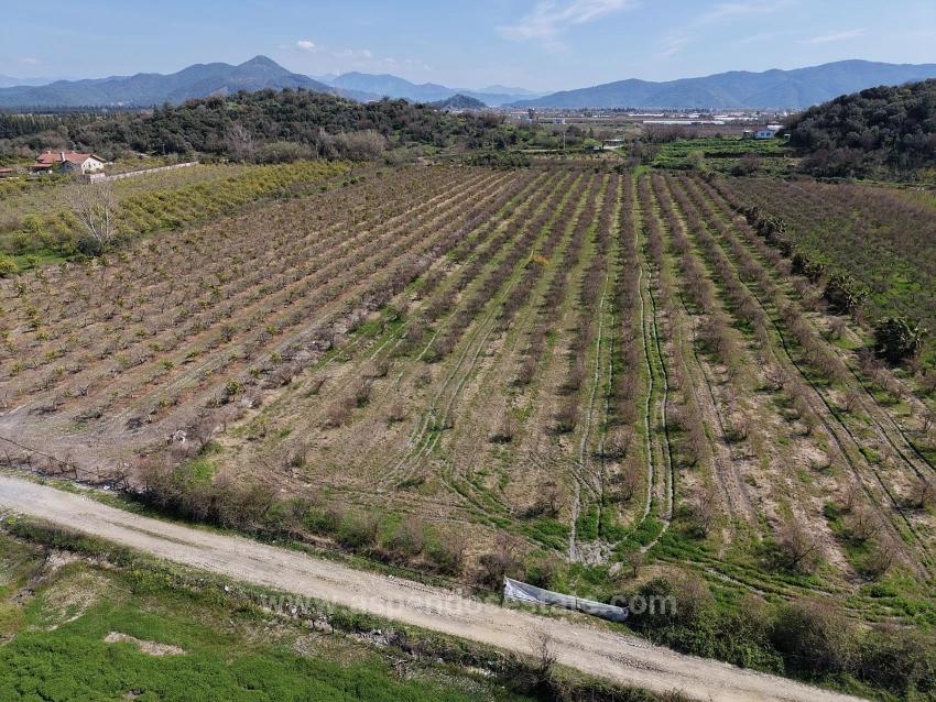 Eskiköy'de Göl Manzaralı 16.710M2 Satılık Nar Bahçesi
