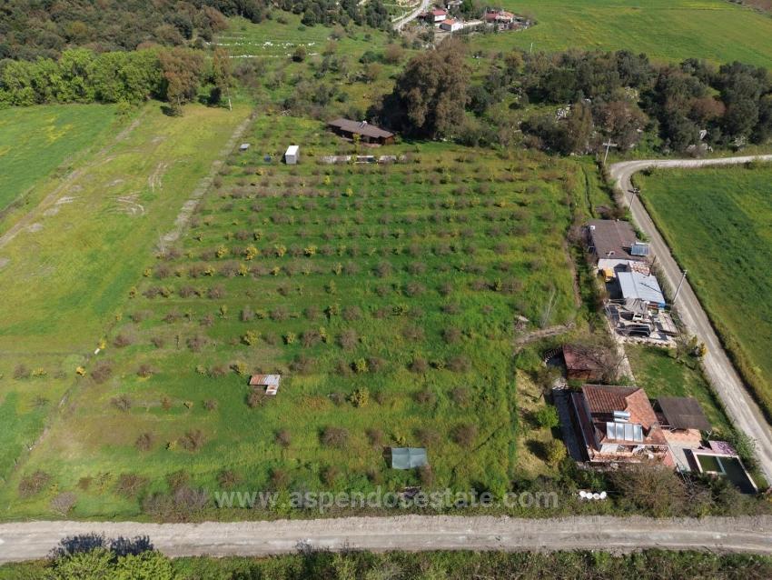 Eskiköy'de 11,000M2 Arsa İçinde Turizm Amaçlı İşletme Satılık