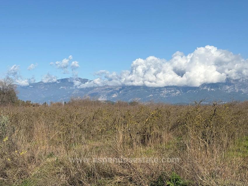 Tepearası'nda 23000M2 Müstakil Satılık Tarla