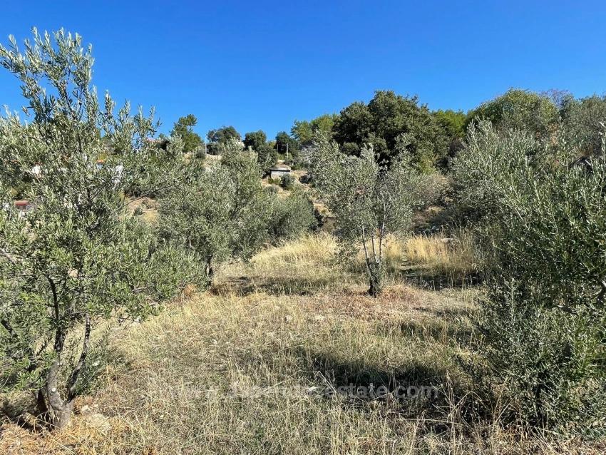 Gökbel'de Full Deniz Manzaralı 3514M2 Satılık Arsa