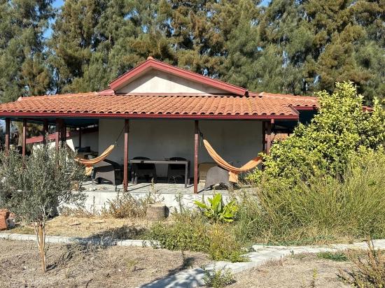 Eskiköy'de 19.663M2 Çiftlik Arazisi Ve Ev