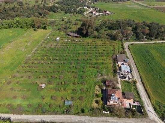 Eskiköy'de 11,000M2 Arsa İçinde Turizm Amaçlı İşletme Satılık