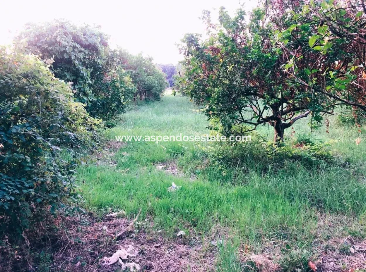 Okçularda Satılık Arsa Okçular Marmarlı Satılık  1,500M2 Satılık Arsa