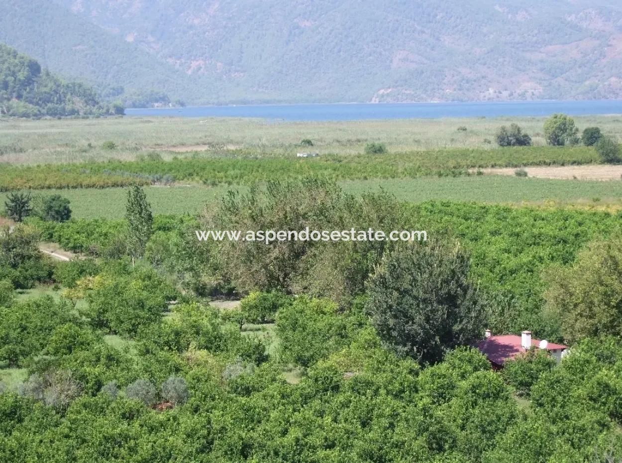 Dalyan Satılık Tarla Dalyan 73410M2 Satılık Tarla