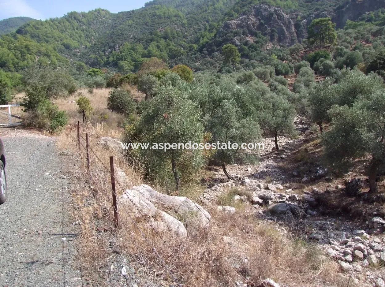 Ekincik Satılık Arsa Deniz Manzaralı 5,391M2 Satılık Arsa