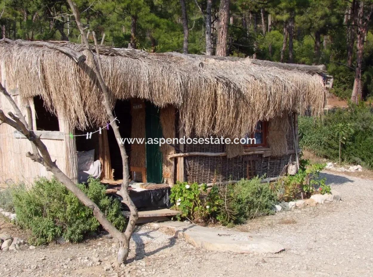 Akbük Satılık Denize Sıfır Bungolev Turnalı 800M2 Arsa İçinde Denize Sıfır Satılık Villa