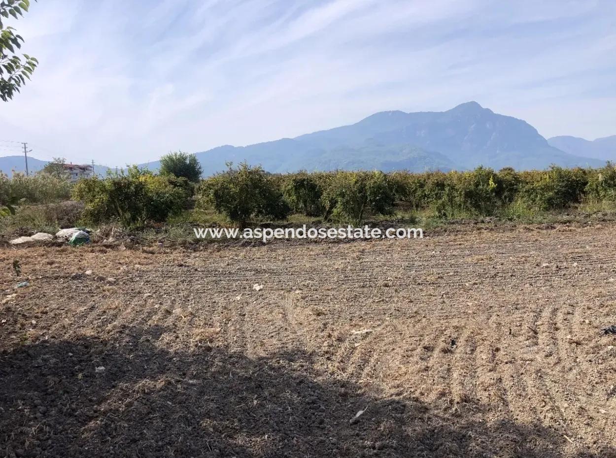 Esköyde Satılık Tarla Arsa 8500M2 Satılık Tarla Arsa