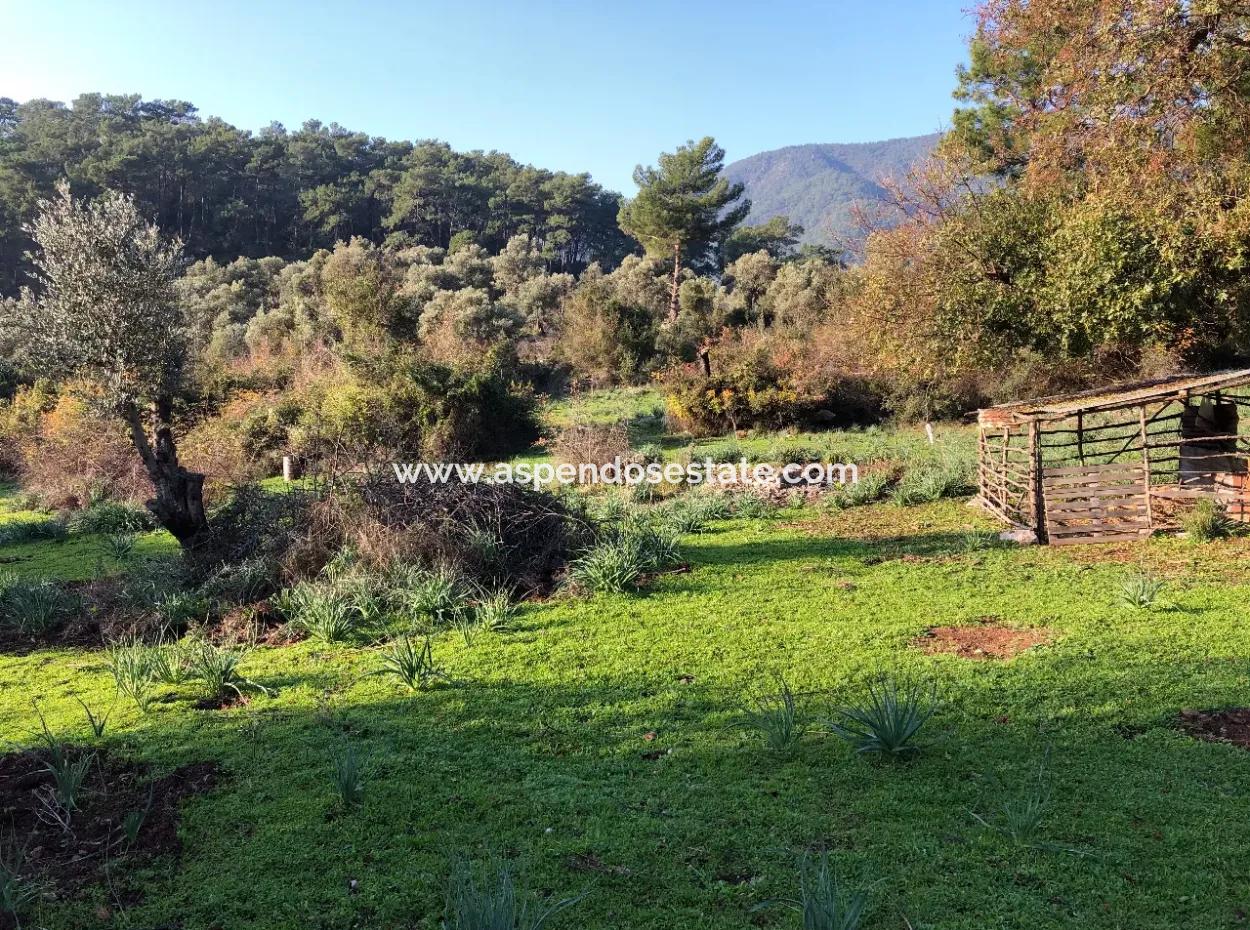 Ekincik Satılık Arsa 10,038M2 Satılık Arsa Tarla