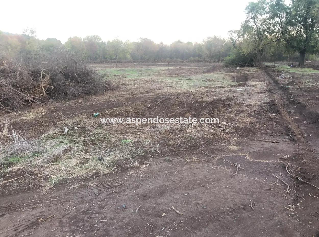 Sultaniye Satılık Arsa 10577M2 Göle Yakın Satılık Arsa