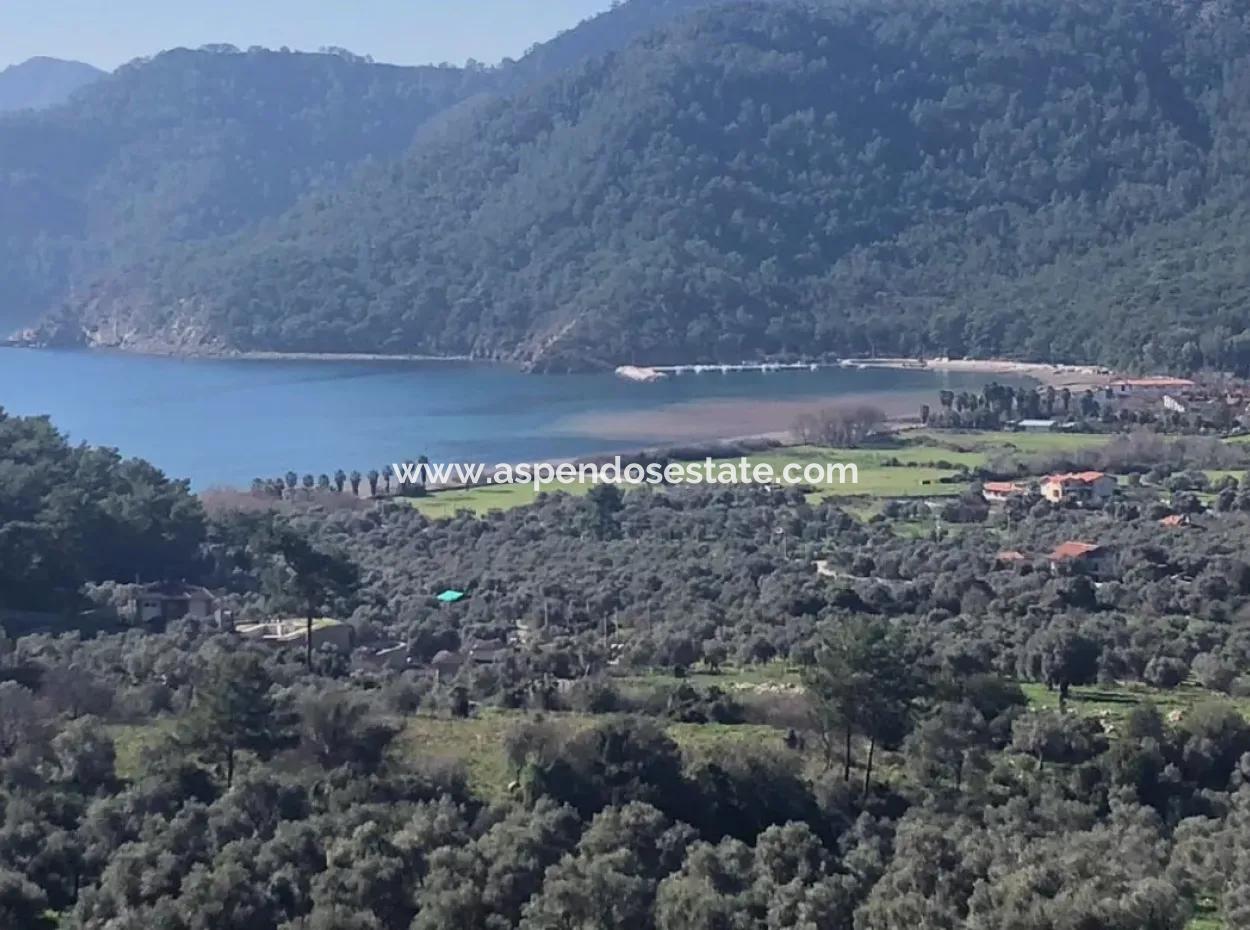 Ekincik Satılık Arsa Denize Çok Yakın 2000M2 Satılık Arsa