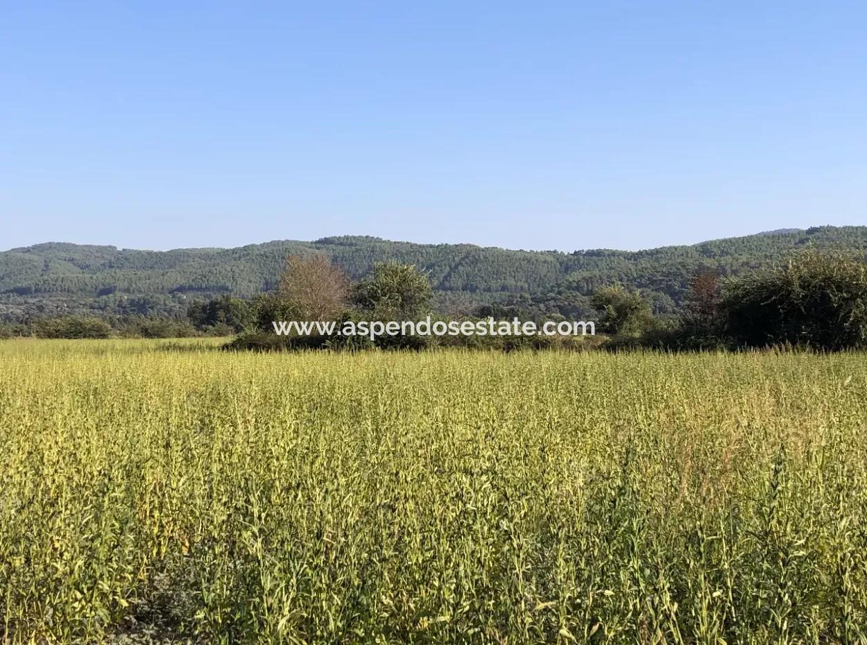 Akçapınarda Satılık Tarla 100 Dönüm Satılık Tarla