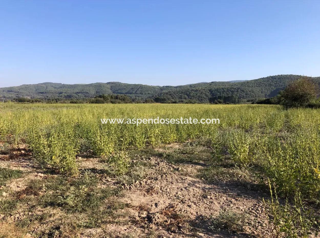 Akçapınarda Satılık Tarla 100 Dönüm Satılık Tarla