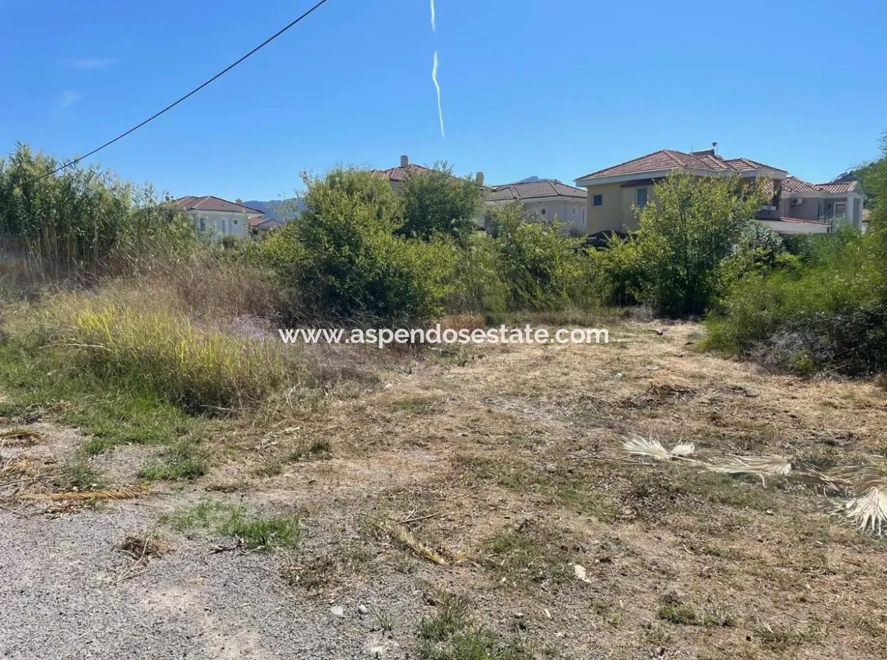 Dalyan Gülpınar Köşebaşın Da  1000M2 Satılık Arsa