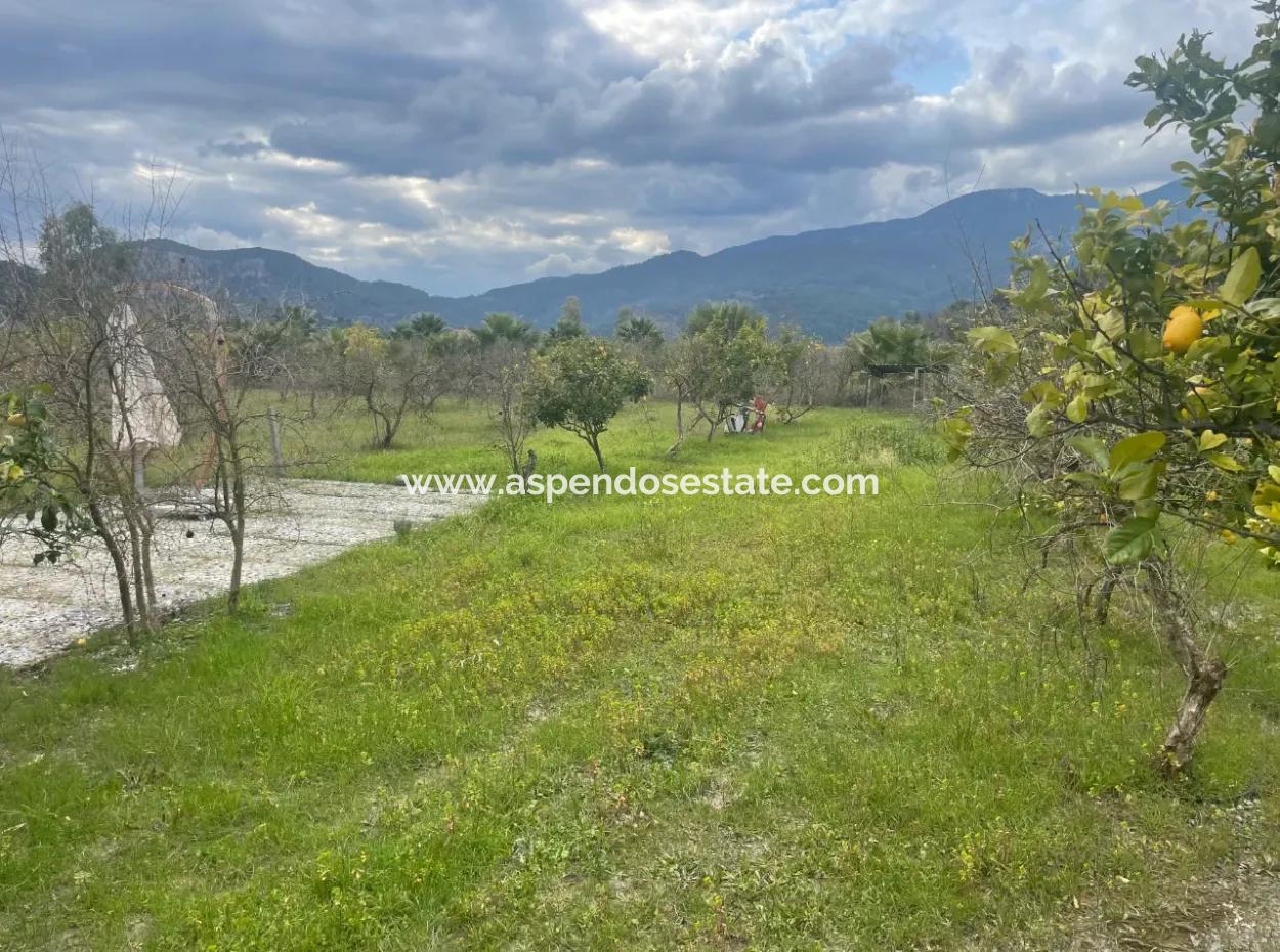 Dalyan Satılık Butik Otel 11.000M2 Arsa İçinde Satılık Bungolevler