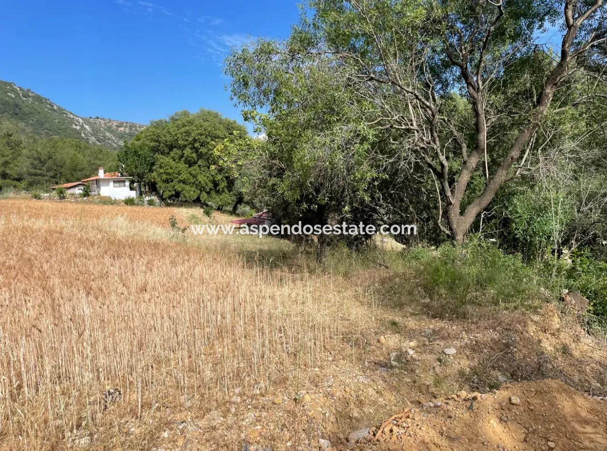 Ula Armutçuk Da 501M2 İmarlı Satılık Arsa