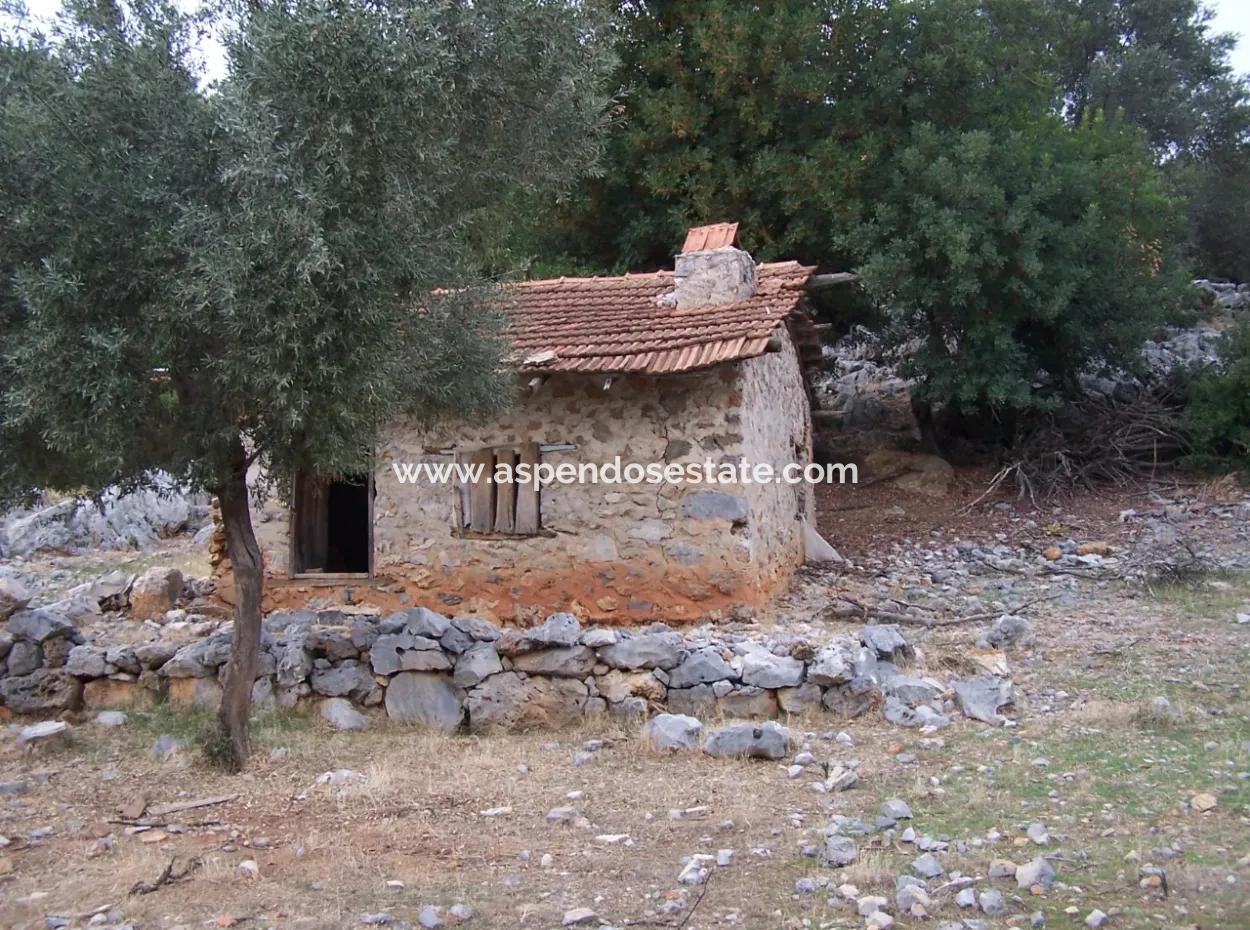 Sarsalada Deniz Manzaralı 4274M2 Arsa İçinde Satılık Taş Ev