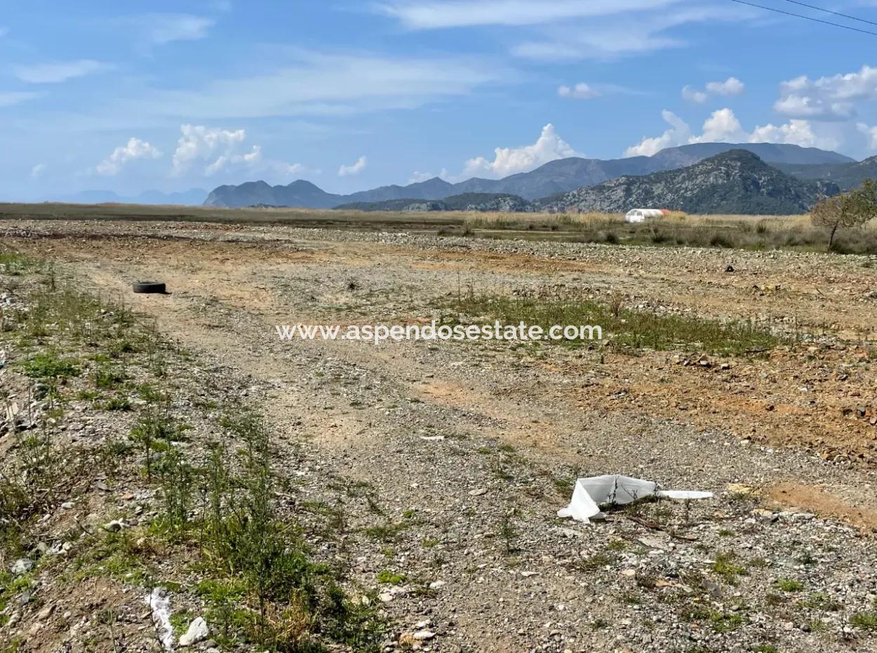 Dalyan İztuzu Plaj Yoluna Sıfır 19,600M2 Satılık Tarla Arazi