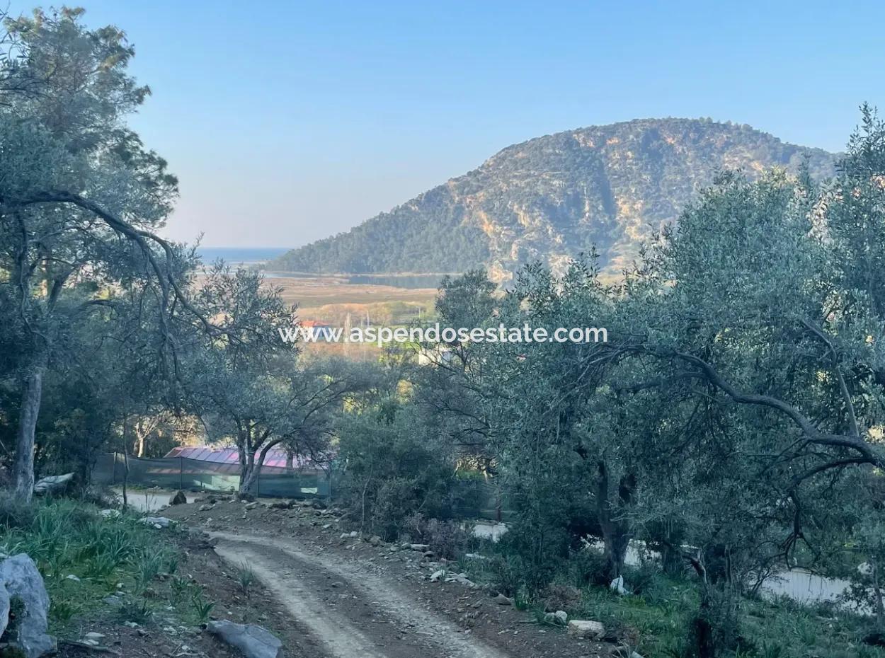 Çandır Göl Deniz Manzaralı 2,806M2 2B Satılık Tarla