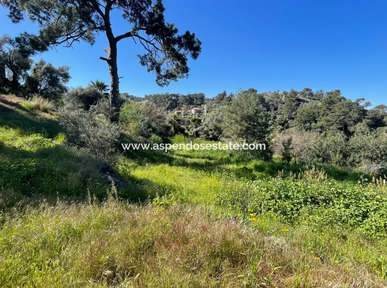 Gökbel'de Full Deniz Manzaralı 4,400M2 Arsa İçinde Satılık Köy Evi