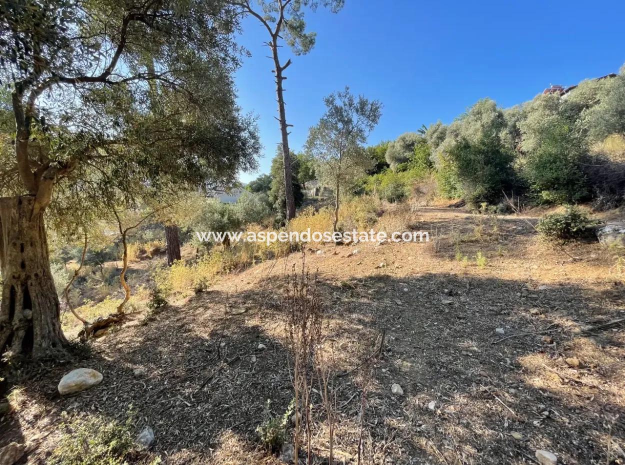 Çandır Merkezde Ormana Sıfır 1,320M2 Satılık Tarla