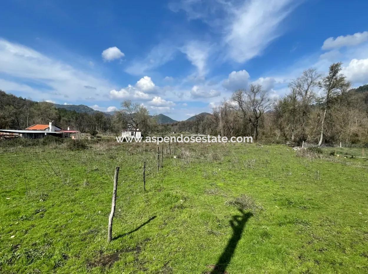 Sultaniye Büyükkaraç Mahallesin Satılık Tarla