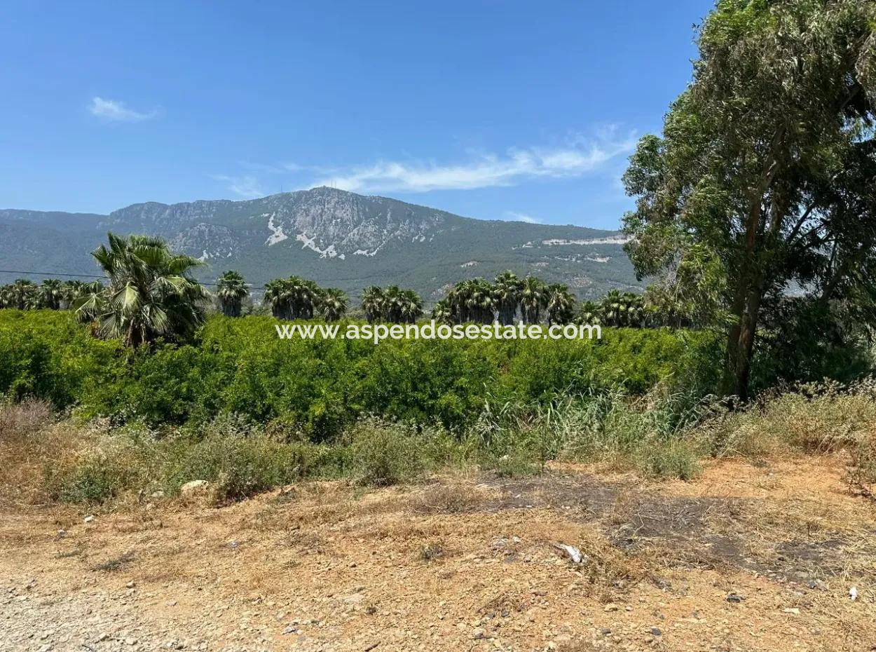 Akyaka Akçapınar'da Yola Sıfır 13,500M2 Satılık  Tarla