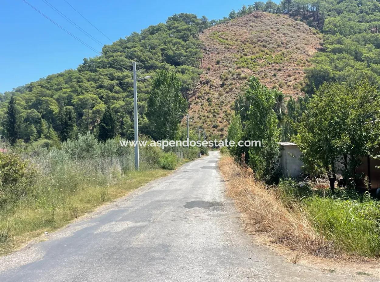 Tepearasın'da Yol Sıfır 6820M2 Nar Ve Limon Bahçesi Satılıktır