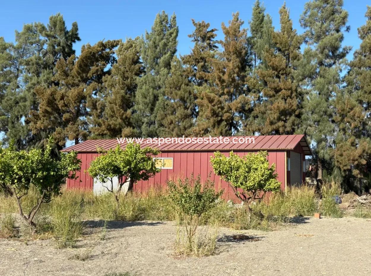 Eskiköy'de 19.663M2 Çiftlik Arazisi Ve Ev Satılıktır