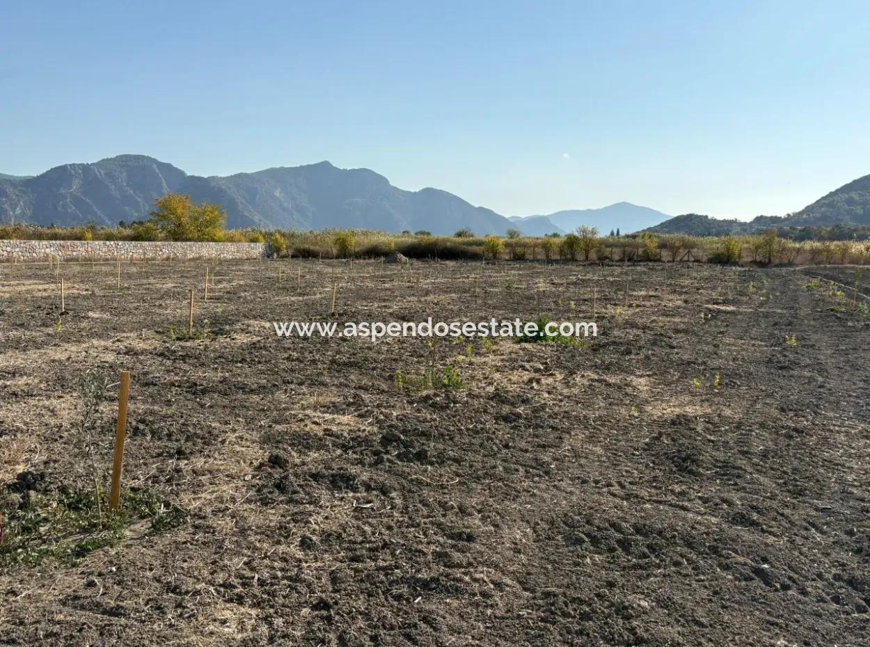 Eskiköy'de 19.663M2 Çiftlik Arazisi Ve Ev Satılıktır