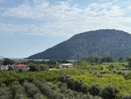 Çandır Köyünde Deniz Ve Göl Manzaralı 1,721M2 Satılık Tarla