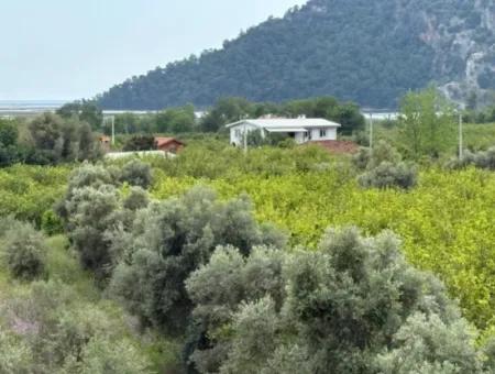 Çandır Köyünde Deniz Ve Göl Manzaralı 1,721M2 Satılık Tarla