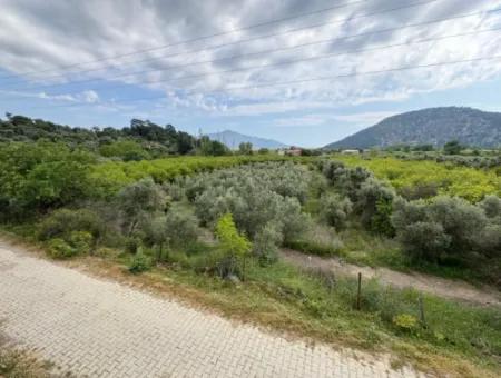 Çandır Köyünde Deniz Ve Göl Manzaralı 1,721M2 Satılık Tarla