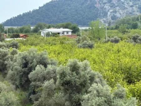 Çandır Köyünde Deniz Ve Göl Manzaralı 1,721M2 Satılık Tarla