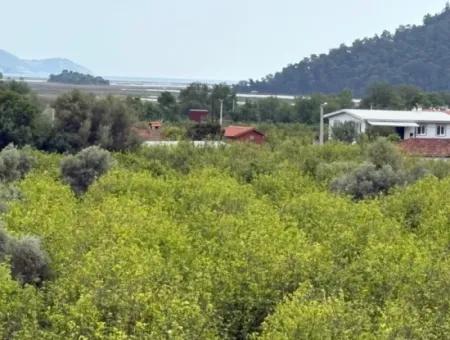 Çandır Köyünde Deniz Ve Göl Manzaralı 1,721M2 Satılık Tarla