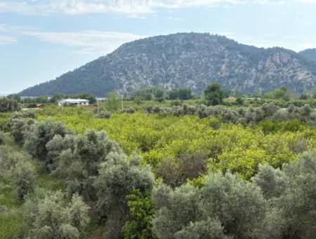 Çandır Köyünde Deniz Ve Göl Manzaralı 1,721M2 Satılık Tarla