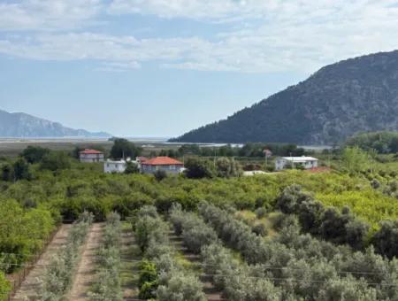 Çandır Köyünde Deniz Ve Göl Manzaralı 1,721M2 Satılık Tarla