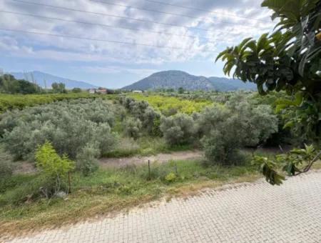 Çandır Köyünde Deniz Ve Göl Manzaralı 1,721M2 Satılık Tarla