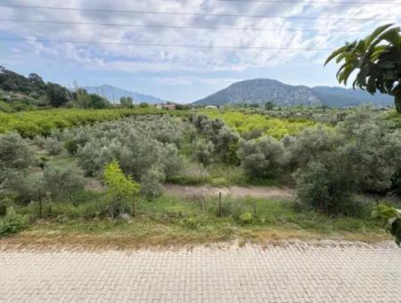 Çandır Köyünde Deniz Ve Göl Manzaralı 1,721M2 Satılık Tarla