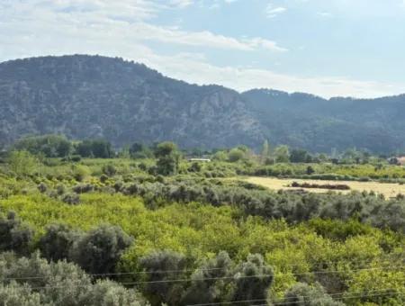 Çandır Köyünde Deniz Ve Göl Manzaralı 1,721M2 Satılık Tarla