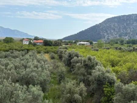Çandır Köyünde Deniz Ve Göl Manzaralı 1,721M2 Satılık Tarla