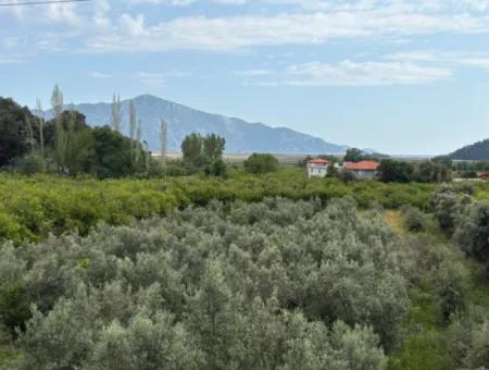 Çandır Köyünde Deniz Ve Göl Manzaralı 1,721M2 Satılık Tarla