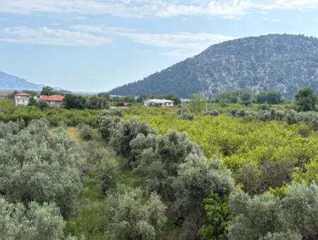 Çandır Köyünde Deniz Ve Göl Manzaralı 1,721M2 Satılık Tarla