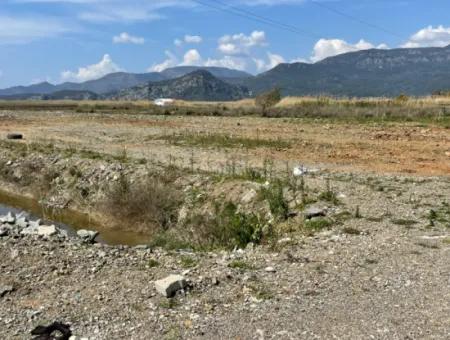 Dalyan İztuzu Plaj Yoluna Sıfır 19,600M2 Satılık Tarla Arazi