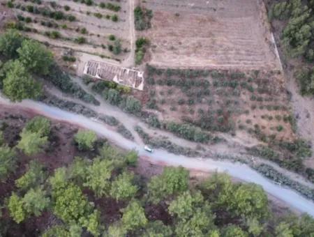 Mergenlide Aşı Koyu Yolu Üzerinde Satılık 3578M2 Tarla